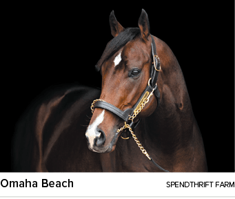 Omaha Beach spendthrift far