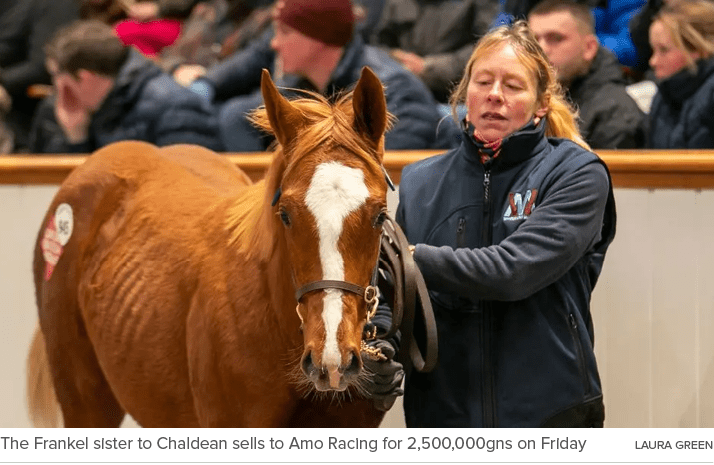 The Frankel sister to Chaldean sells to Amo Racing for 2,500,000gns on Friday Laura Gree