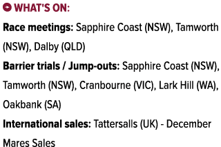 ￼ What's on: Race meetings: Sapphire Coast (NSW), Tamworth (NSW), Dalby (QLD) Barrier trials / Jump outs: Sapphire Co...