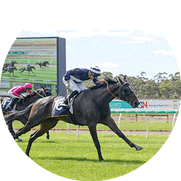 Samuel Langhorne (NZ) ridden by Blaike McDougall wins the Carlton Draught BM78 Handicap at Bendigo Racecourse on April 13, 2024 in Bendigo, Australia. (Photo by Scott Barbour/Racing Photos)