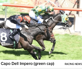 Capo Dell Impero (green cap) racing new