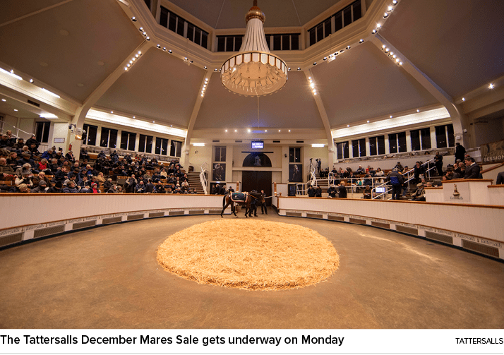 The Tattersalls December Mares Sale gets underway on Monday Tattersall