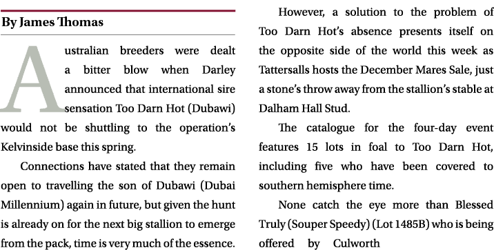 ￼ Australian breeders were dealt a bitter blow when Darley announced that international sire sensation Too Darn Hot (...