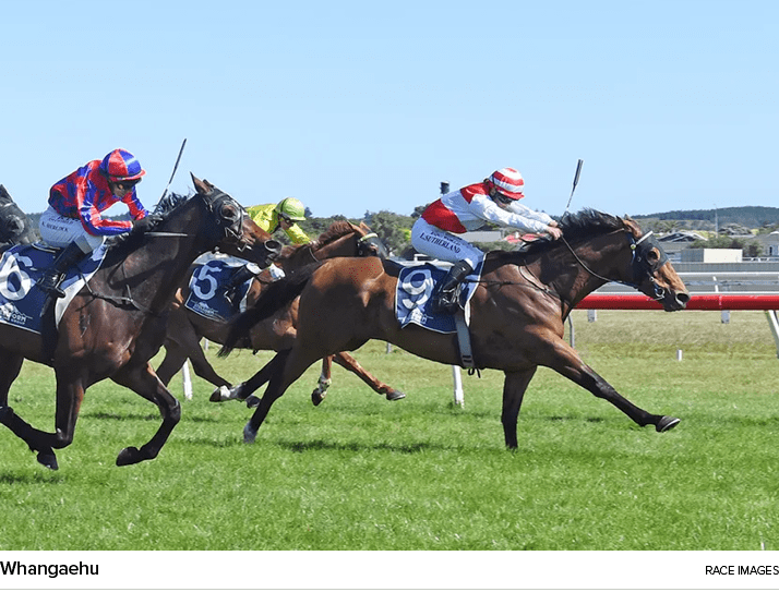 Whangaehu Race Image