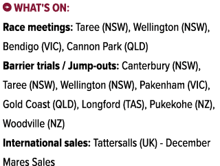 ￼ What's on: Race meetings: Taree (NSW), Wellington (NSW), Bendigo (VIC), Cannon Park (QLD) Barrier trials / Jump out...