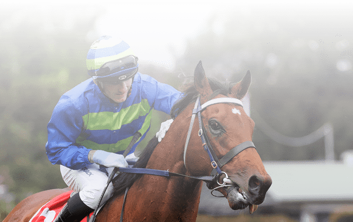 Attrition (BeauMertens, inside, green & blue cap) trained by Mitchell Frfeedman wins the Hill Stakes (Group 2) at Rosehill on October 12, 2024 - photo by Martin King/Sportpix copyright