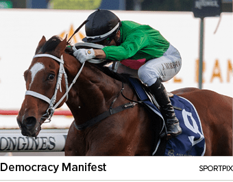 Democracy Manifest sportpi