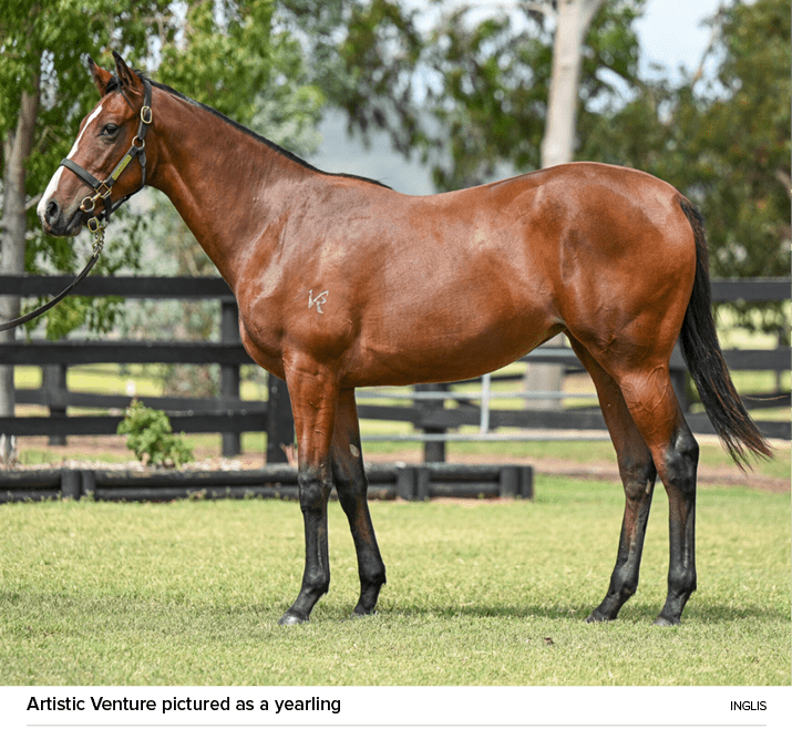 Artistic Venture pictured as a yearling Ingli