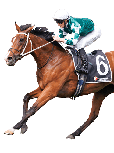 Via Sistina (James McDonald, white cap) trained by Chris Waller wins the Ranvet Stakes (Group 1 )at Rosehill on March 23, 2024 - photo by Martin King/Sportpix copyright