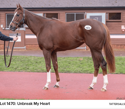 Lot 1470: Unbreak My Heart tattersall