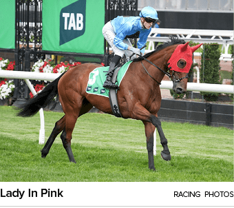 Lady In Pink racing photo