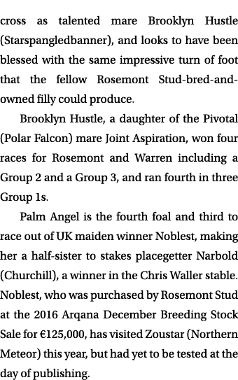 cross as talented mare Brooklyn Hustle (Starspangledbanner), and looks to have been blessed with the same impressive ...