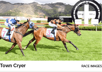 Town Cryer Race Image