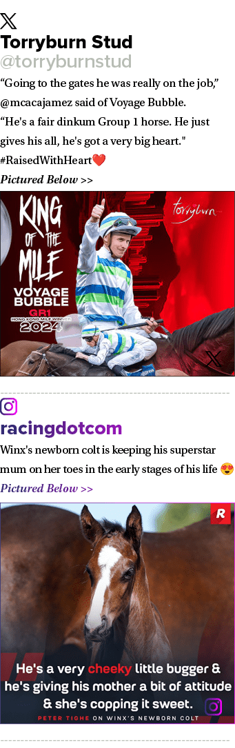 ￼ Torryburn Stud @torryburnstud “Going to the gates he was really on the job,” @mcacajamez said of Voyage Bubble. “He...