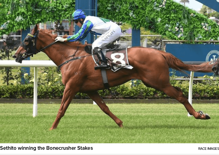 Sethito winning the Bonecrusher Stakes Race Image