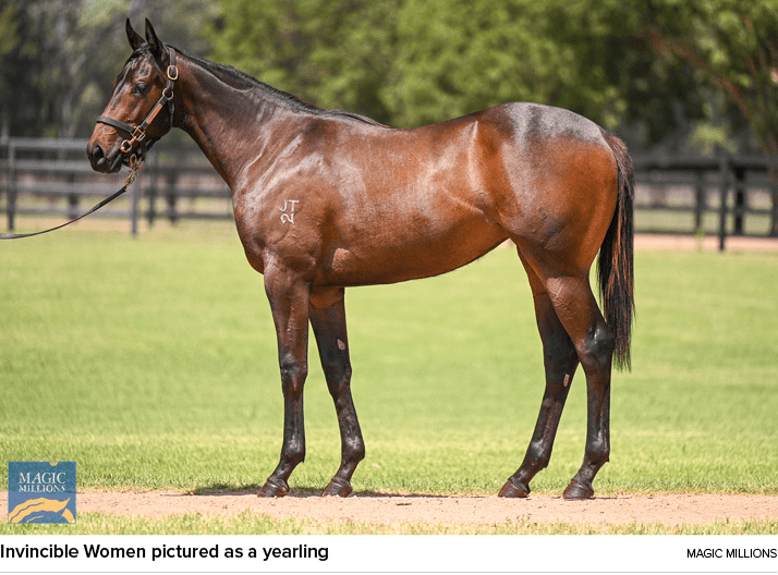 Invincible Women pictured as a yearling Magic Million