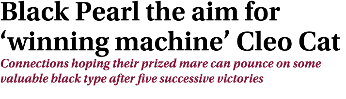 Black Pearl the aim for ‘winning machine’ Cleo Cat Connections hoping their prized mare can pounce on some valuable b...