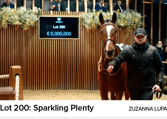 Lot 200: Sparkling Plenty Zuzanna Lup