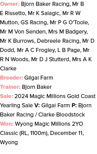 Owner: Bjorn Baker Racing, Mr B E Rissetto, Mr K Salagic, Mr R W Mutton, GS Racing, Mr P G O'Toole, Mr M Von Senden, ...