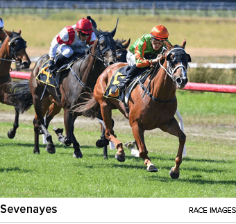 Sevenayes Race Image