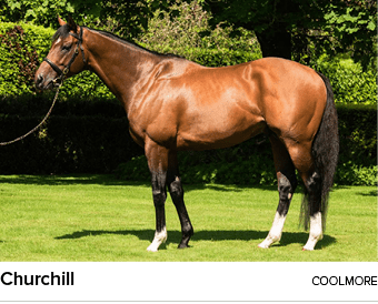 Churchill Coolmor