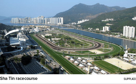 Sha Tin racecourse Supplie