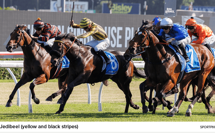 Jedibeel (yellow and black stripes) sportpi