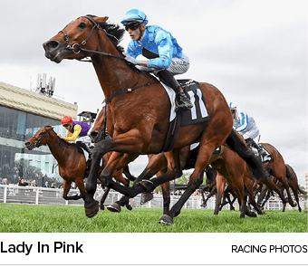 Lady In Pink racing photo