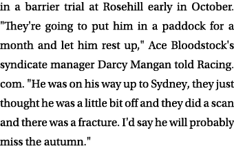 in a barrier trial at Rosehill early in October. \“They're going to put him in a paddock for a month and let him rest...