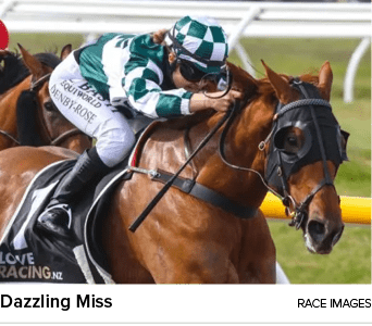 Dazzling Miss Race Image