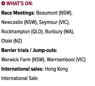 ￼ What's on: Race Meetings: Beaumont (NSW), Newcastle (NSW), Seymour (VIC), Rockhampton (QLD), Bunbury (WA), Otaki (N...