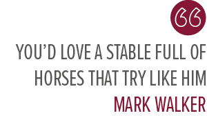 You’d love a stable full of horses that try like him Mark Walke