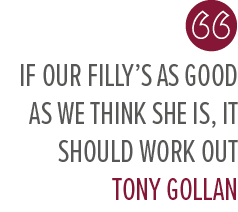 if our filly’s as good as we think she is, it should work out Tony Golla