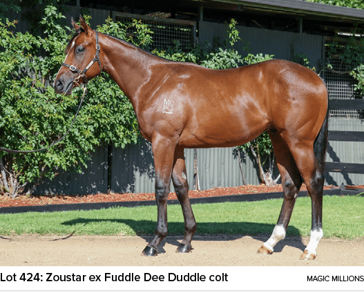 Lot 424: Zoustar ex Fuddle Dee Duddle colt magic million