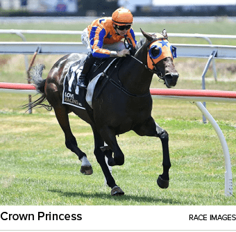 Crown Princess Race Image