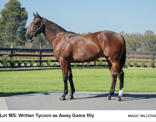 Lot 185: Written Tycoon ex Away Game filly Magic Million