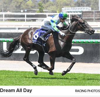 Dream All Day racing photo