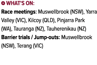 ￼ What's on: Race meetings: Muswellbrook (NSW), Yarra Valley (VIC), Kilcoy (QLD), Pinjarra Park (WA), Tauranga (NZ), ...