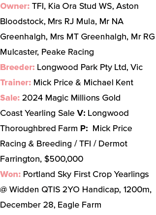 Owner: TFI, Kia Ora Stud WS, Aston Bloodstock, Mrs RJ Mula, Mr NA Greenhalgh, Mrs MT Greenhalgh, Mr RG Mulcaster, Pea...