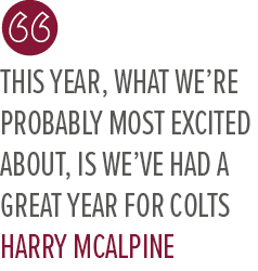 this year, what we’re probably most excited about, is we’ve had a great year for colts Harry McAlpin