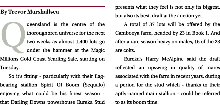 ￼ Queensland is the centre of the thoroughbred universe for the next two weeks as almost 1,400 lots go under the hamm...