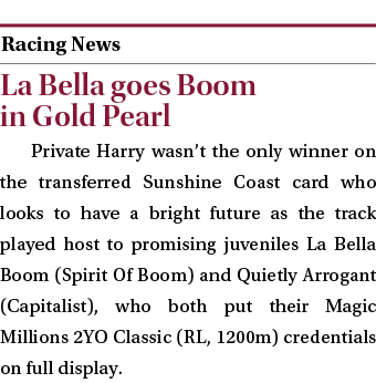  ￼ La Bella goes Boom in Gold Pearl Private Harry wasn’t the only winner on the transferred Sunshine Coast card who l...