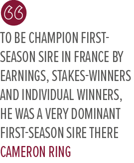 To be champion first season sire in France by earnings, stakes winners and individual winners, he was a very dominant...