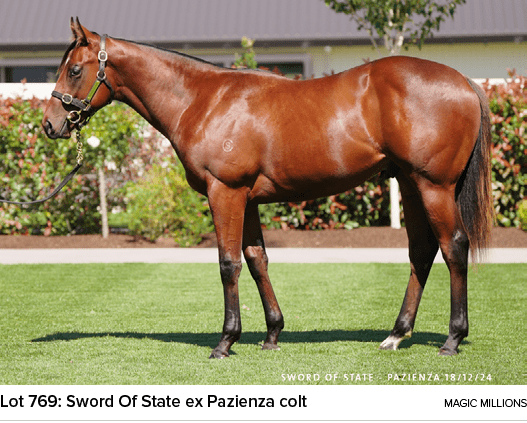 Lot 769: Sword Of State ex Pazienza colt magic million