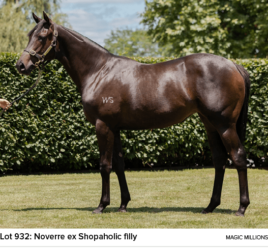 Lot 932: Noverre ex Shopaholic filly magic million