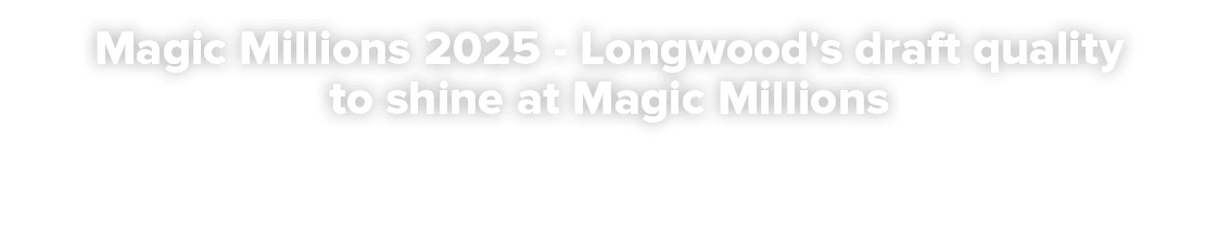 Magic Millions 2025 Longwood's draft quality to shine at Magic Millions