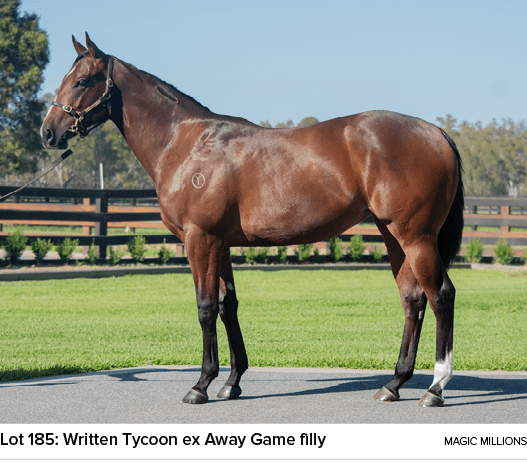 Lot 185: Written Tycoon ex Away Game filly Magic Million