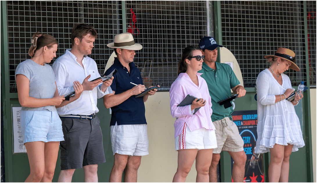 Magic Millions Yearling Sales Inspections, Gold Coast, QLD, Australia on 6 December 2025. Shot by Sarah Ebbett Photography