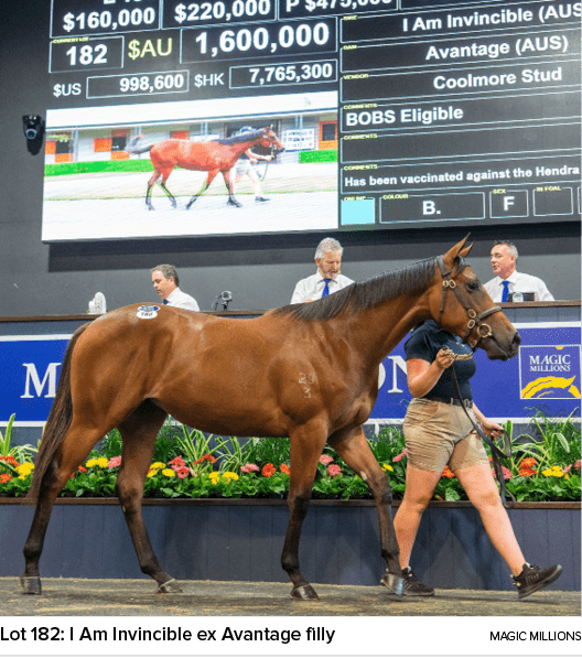 Lot 182: I Am Invincible ex Avantage filly Magic Million