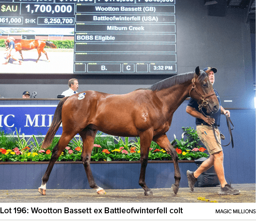 Lot 196: Wootton Bassett ex Battleofwinterfell colt Magic Million